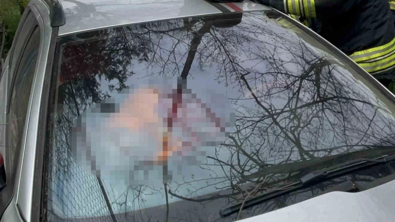 Şarampole uçan otomobilin sürücüsü hayatını kaybetti