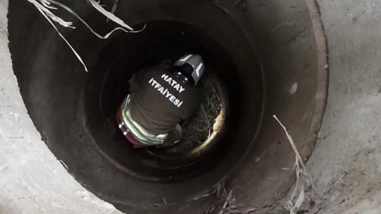 Hatay'da kuyuya düşen köpeği itfaiye kurtardı