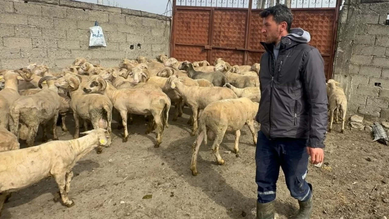 Bursa'da kurbanlık parasıyla evlenmişti şimdi doğacak bebeği için kullanacak