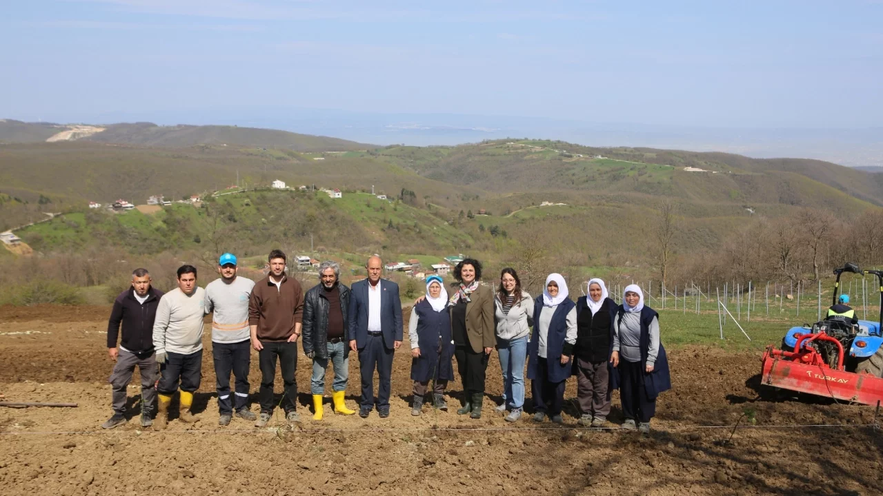 Nilüfer'in verimli toprakları alternatif ekonomik değere dönüşüyor