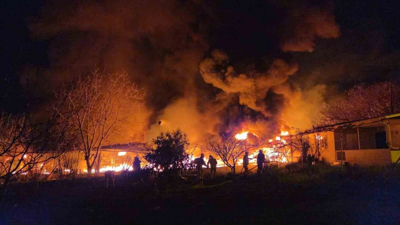 Muz deposu alevlere teslim oldu