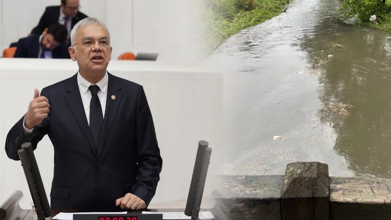 CHP Bursa Milletvekili Kayıhan Pala: "Nilüfer Çayı, bugün bir atık su kanalına dönüşmüştür!"