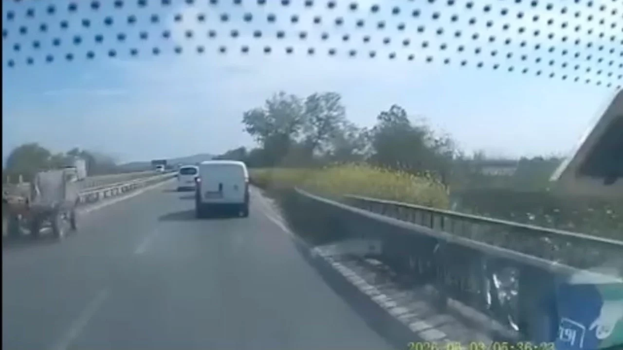 Bursa'da ters yönden gelen at arabası trafiği tehlikeye attı