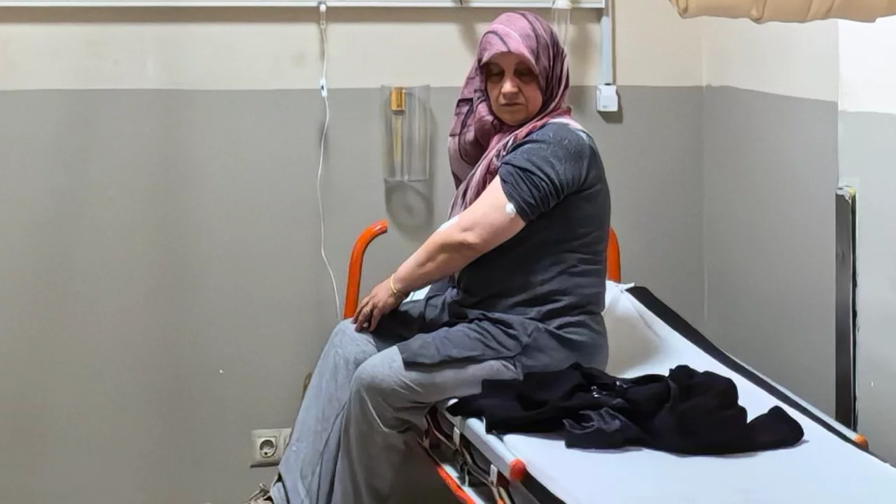 Bursa'da akrep sokan kadın hastanelik oldu