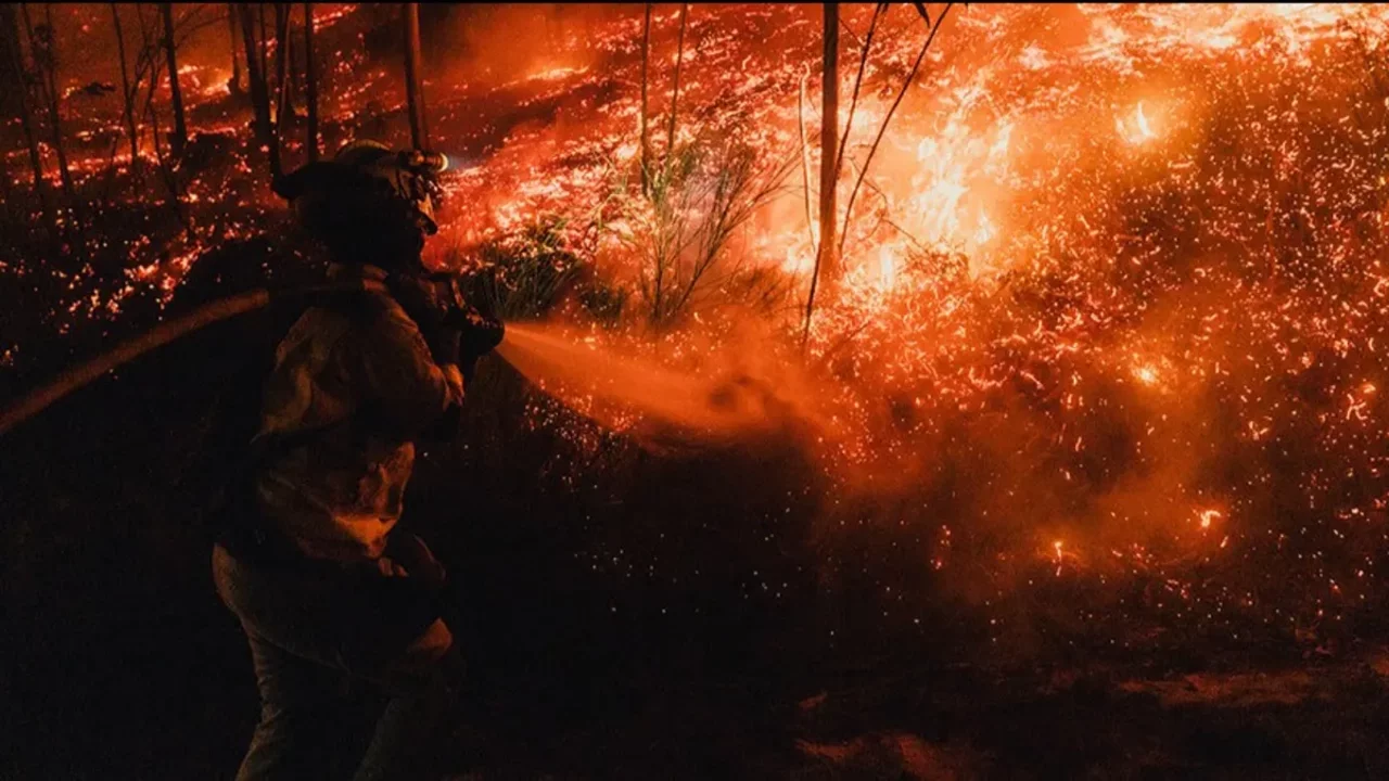 Japonya'da ormanlar yanıyor! Helikopterler ve askerler devrede