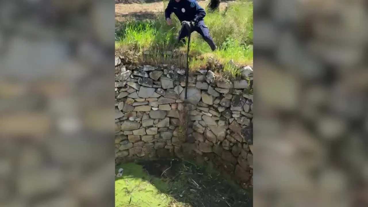 Balıkesir'de kuyuya düşen tilki itfaiye tarafından kurtardı