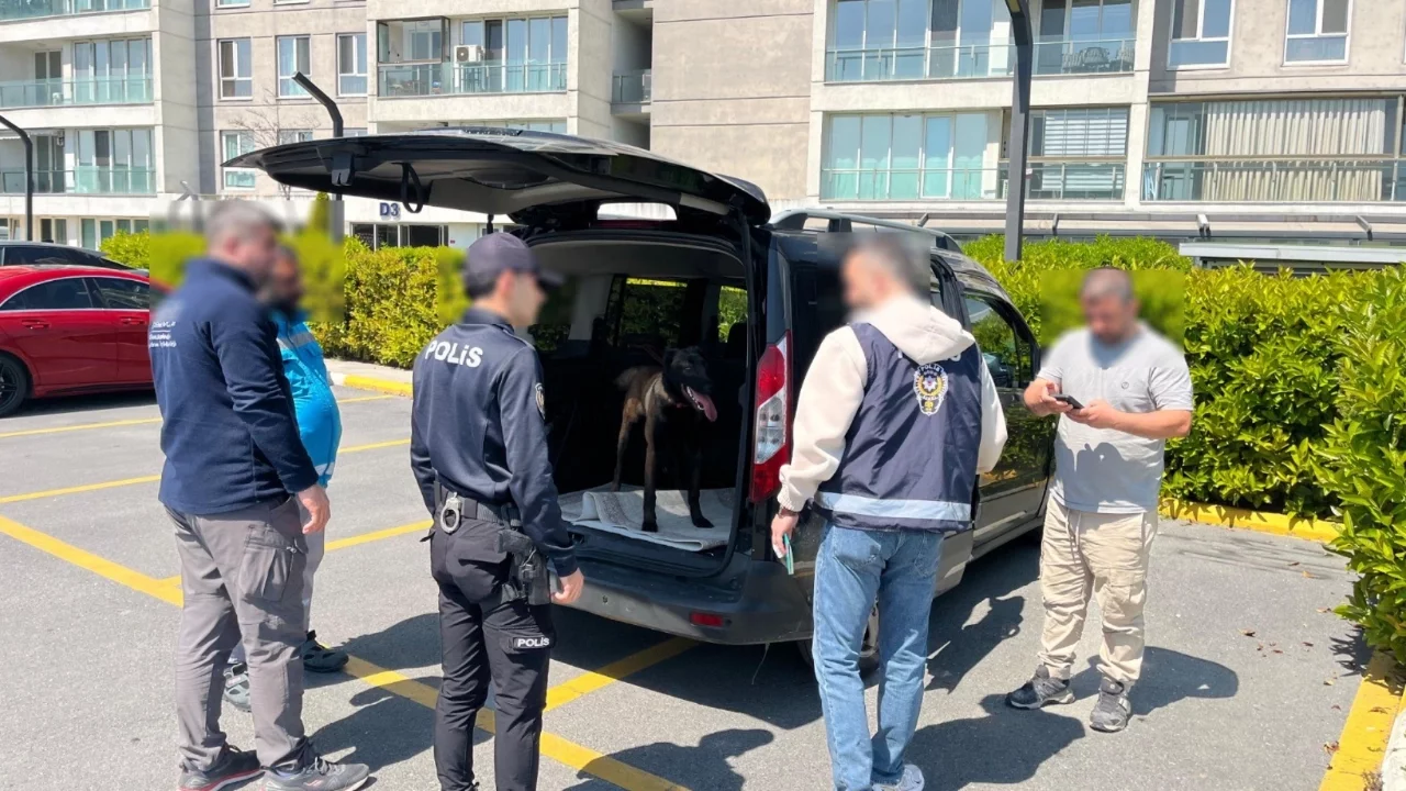İstanbul'da köpeğe kötü muamelede bulunan şahıs yakalandı