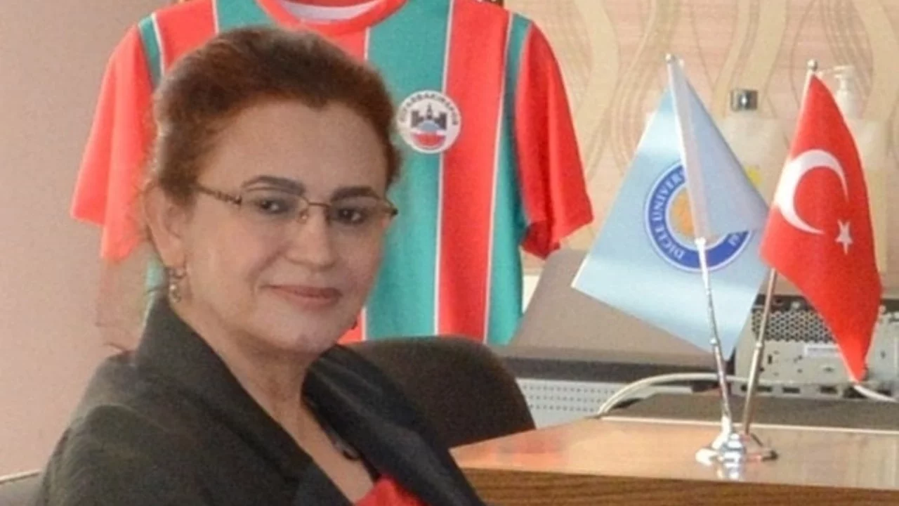 Sınırın ötesinden gelen kurşun profesörü yaraladı