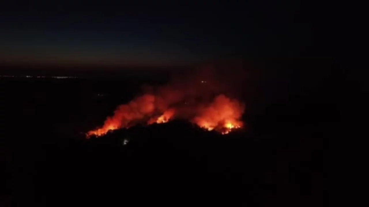 İstanbul Beykoz'daki yangını söndürme çalışmaları devam ediyor