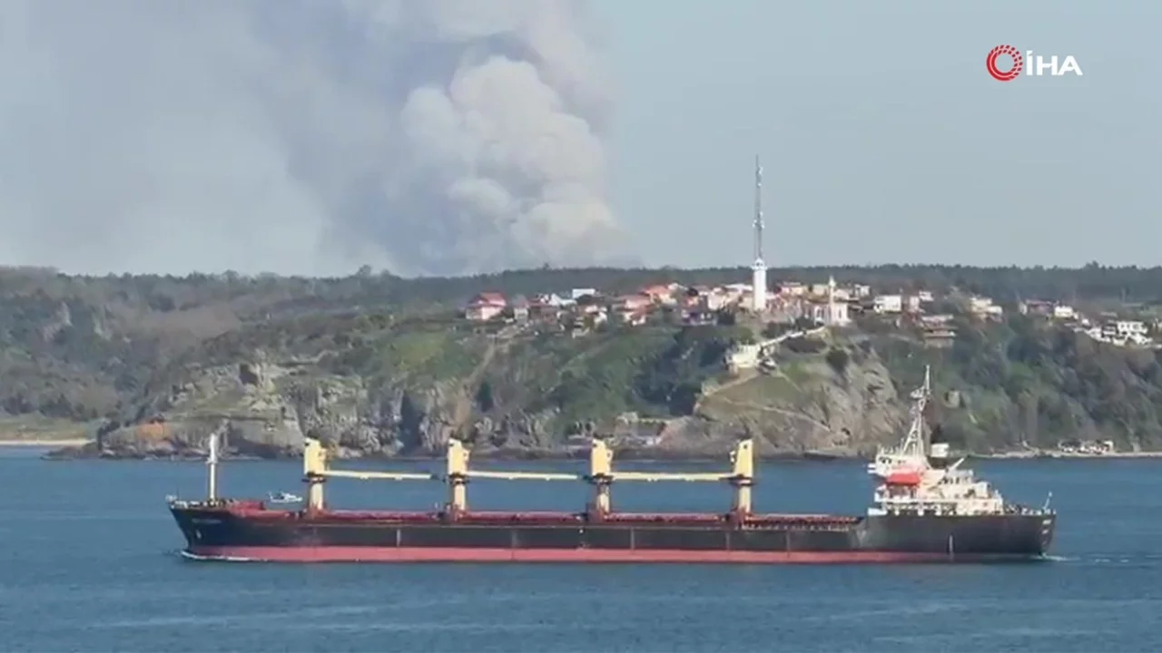 İstanbul Beykoz'da orman yangını