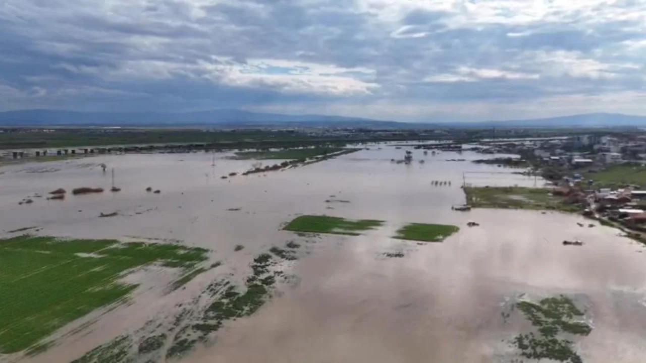 Bursa'da yasak kalktı, çiftçi rahat nefes aldı