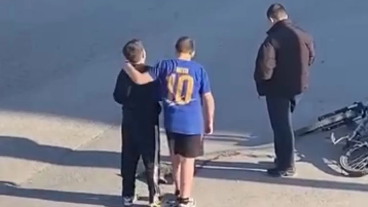 Kocaeli'de çocuklar yaralı kedinin üzerini örtüp, başında nöbet tuttu