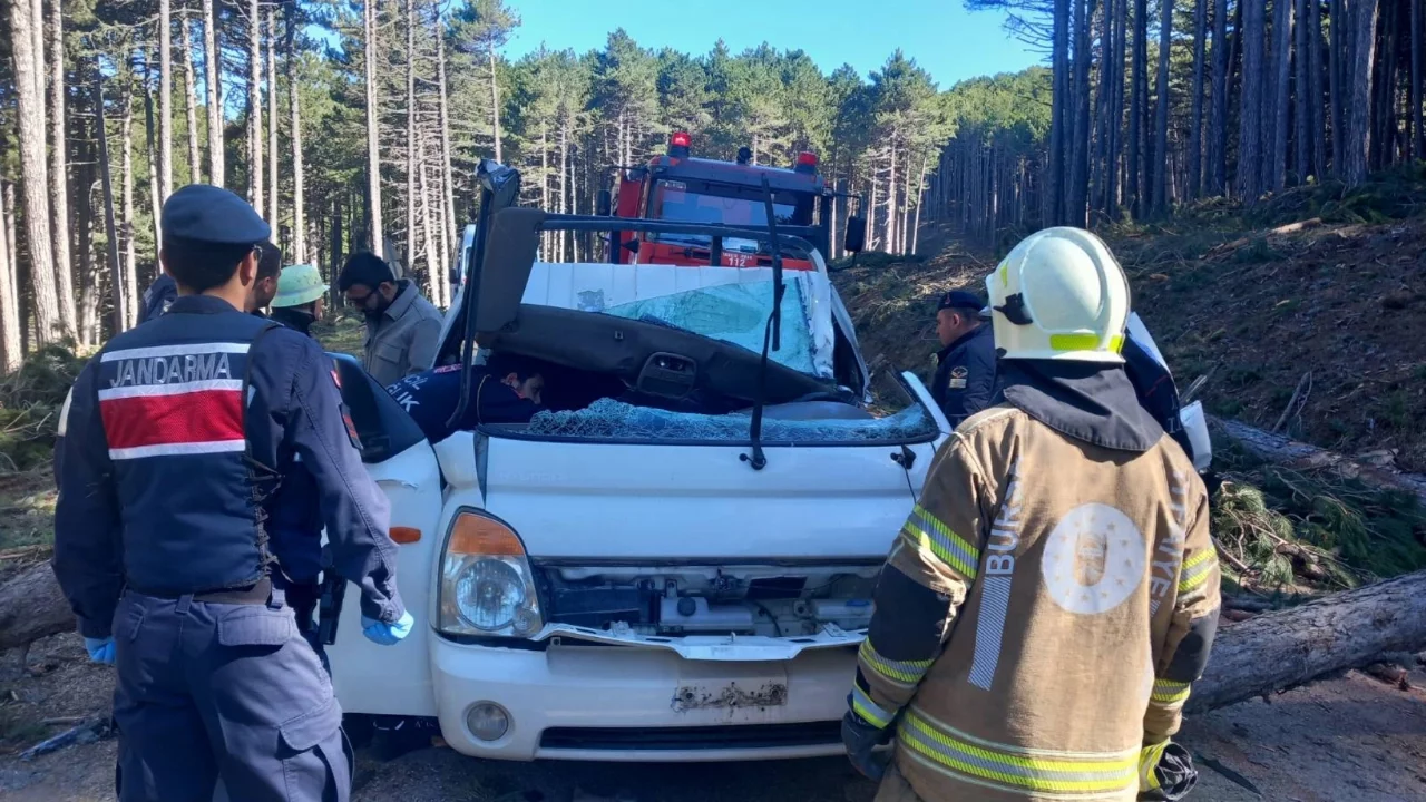 Uludağ'da kesilen ağaç seyir halindeki kamyonetin üzerine devrildi!