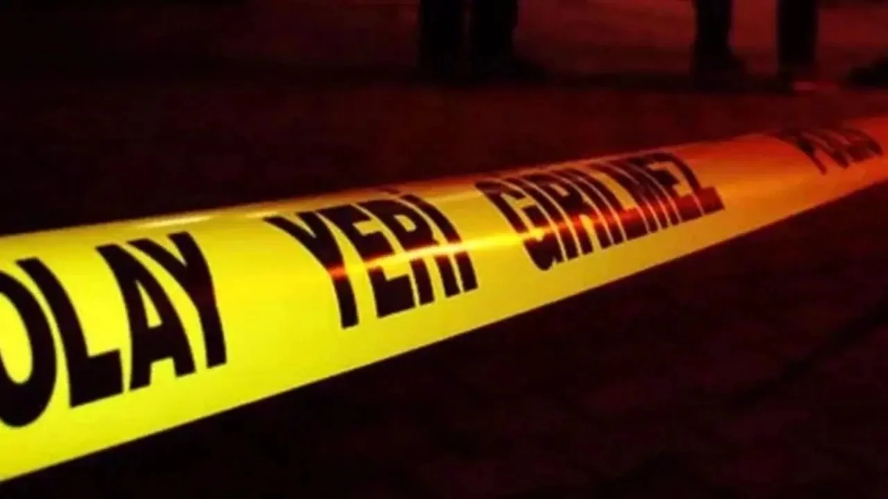 Ardahan'da kaybolan kadın ahırda ölü bulundu: Damadı gözaltına alındı