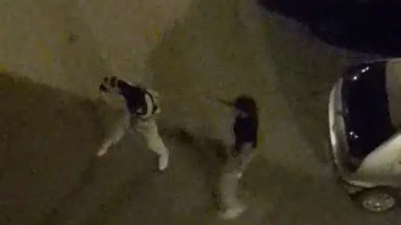 Bursa'da sokak ortasında yumruklu kavga