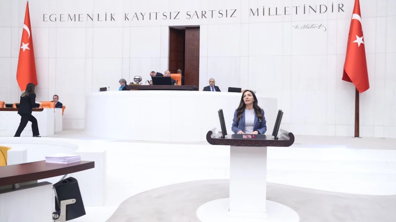 Bursa Milletvekili Altaca Kayışoğlu: Gençler vatandaşlıktan vazgeçmek zorunda kalıyor