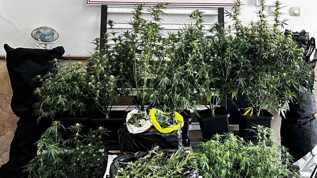 Osmangazi'de uyuşturucu operasyonu: 1 şüpheli tutuklandı