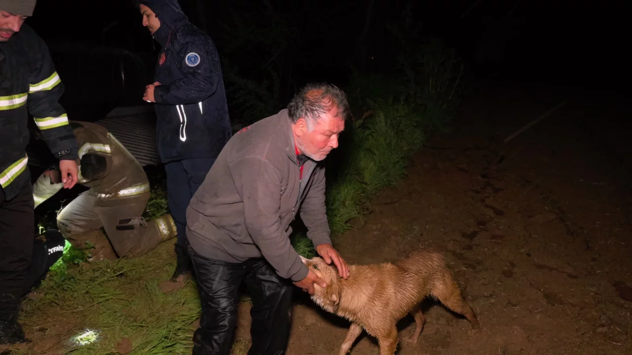 Bursa'da dere taştı, çiftlik sahibi ve köpeği ölümden döndü!