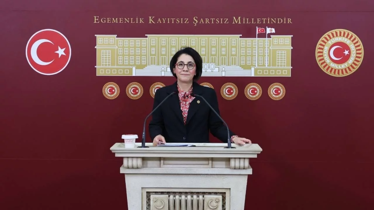 CHP'li Aylin Yaman'dan 26 ilde yeni özel sağlık tesisi planına tepki: "Öncelik kamu yararı olmalı"
