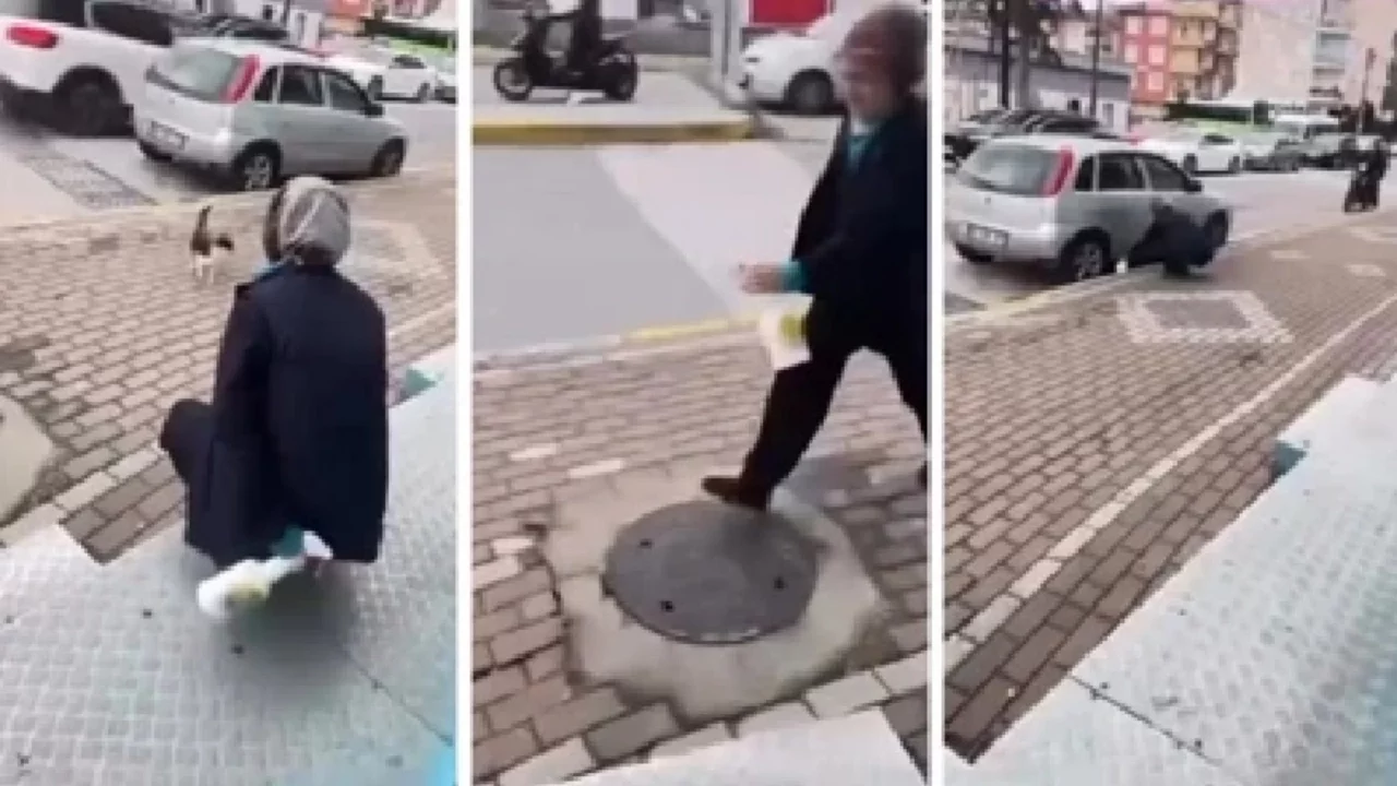 Sokak kedisine sprey sıkan market çalışanı gözaltına alındı