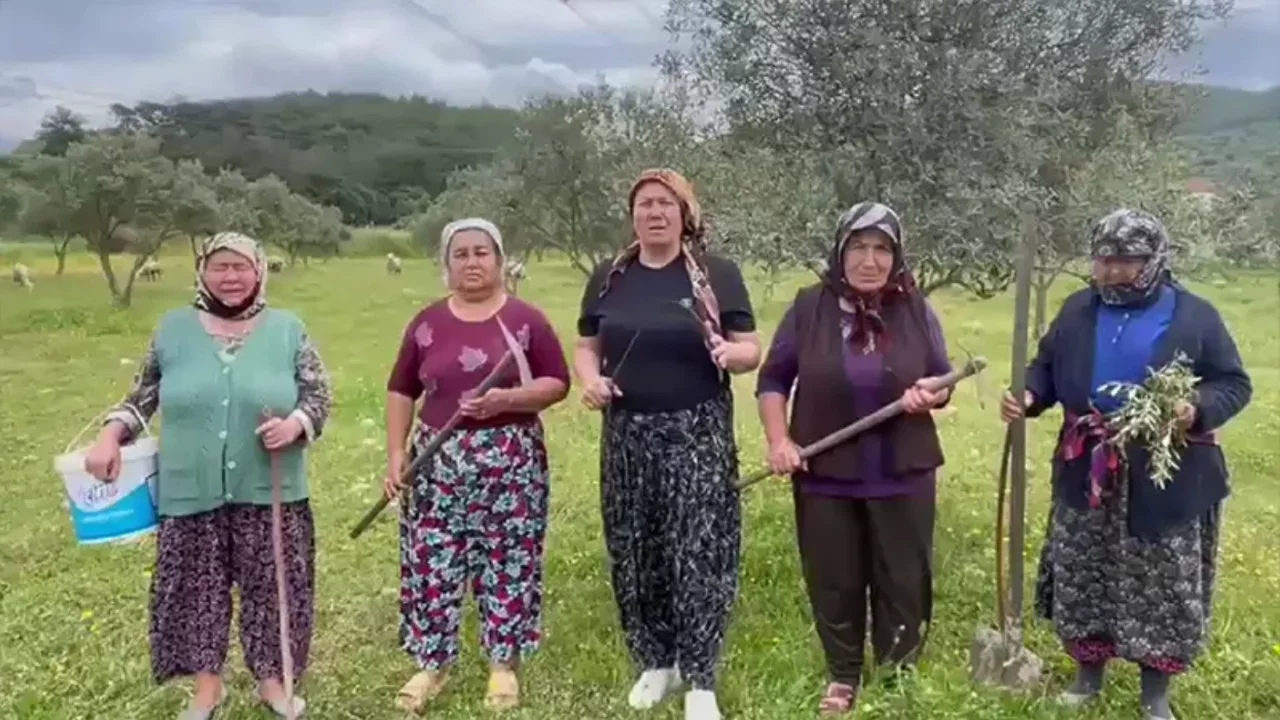 Danıştay'dan Akbelen için kritik karar! Acele kamulaştırma kararının yürütmesini durdurdu