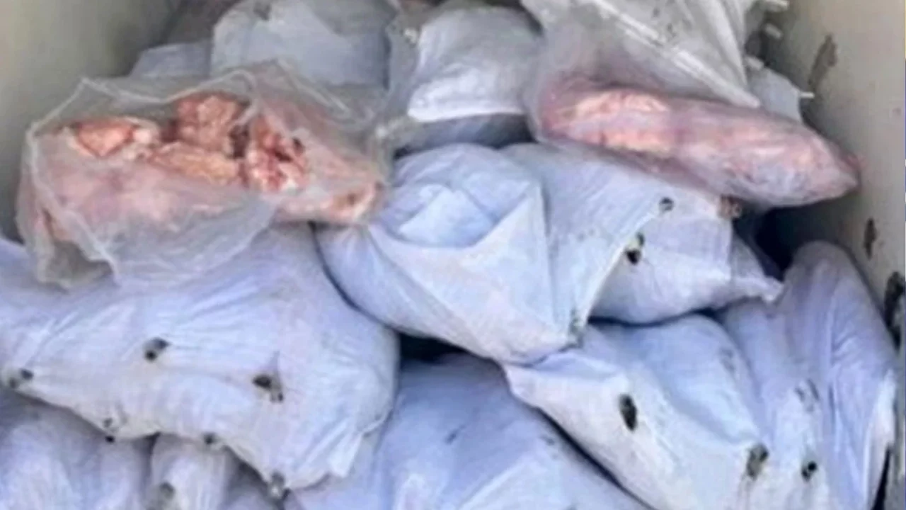 1,5 ton iç yağ ve 140 kokoreç imha edildi