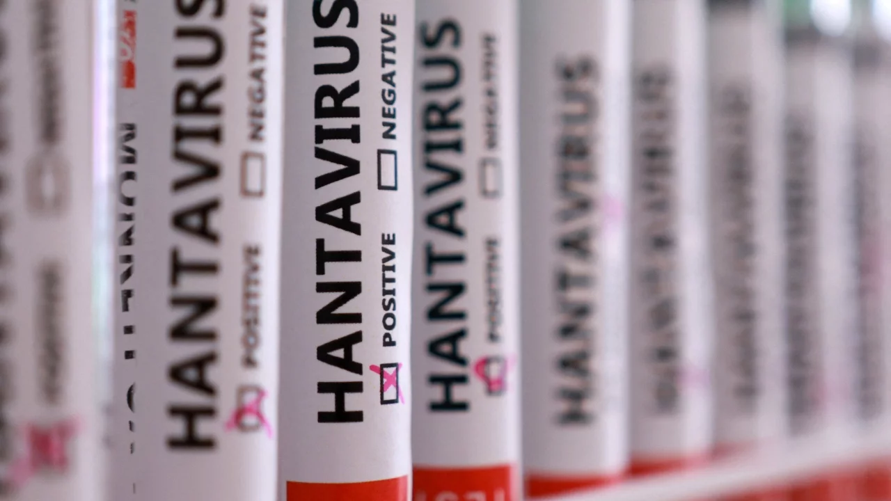 Hantavirüs paniği: Hollandalı kabin memurunun testi negatif çıktı