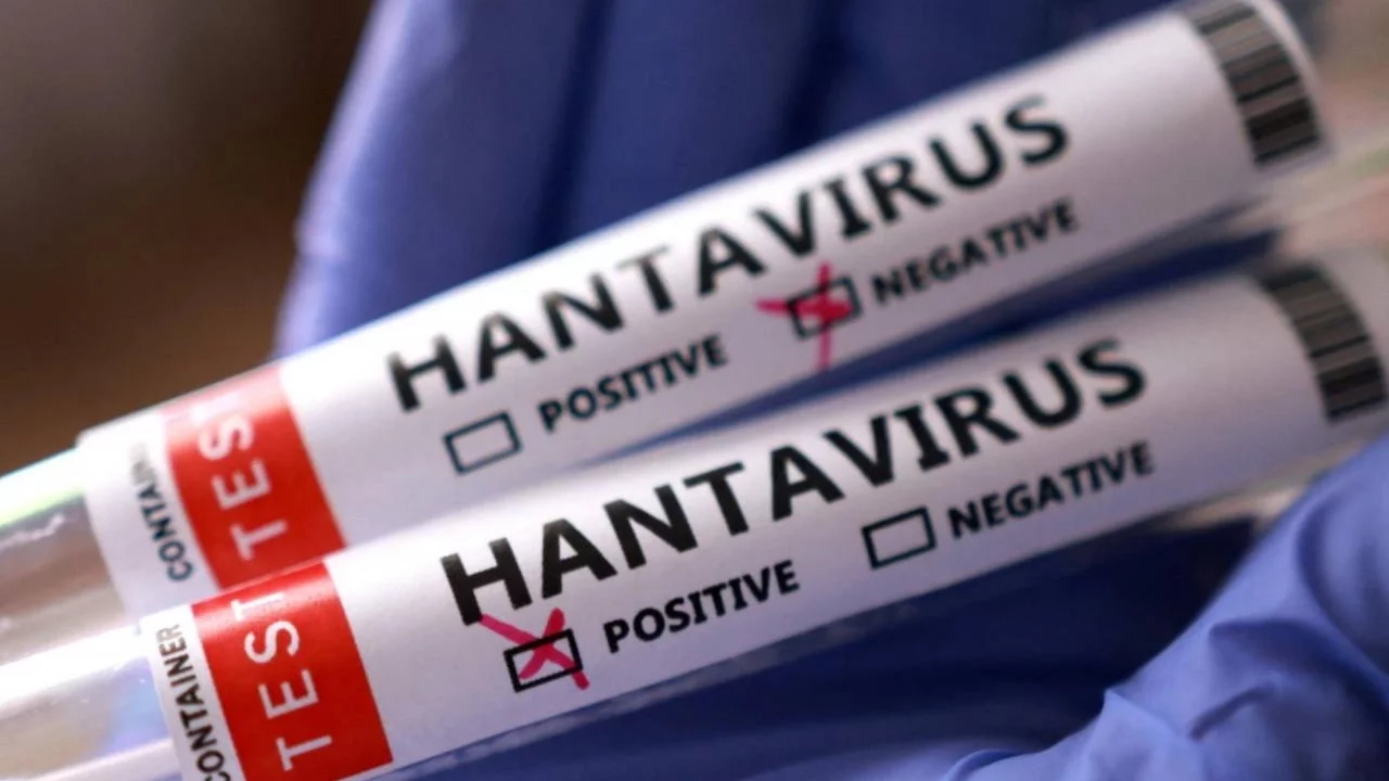 Dünya Sağlık Örgütü Başkanı'ndan Hantavirüs açıklaması: 'Bu yeni bir COVID-19 değil'