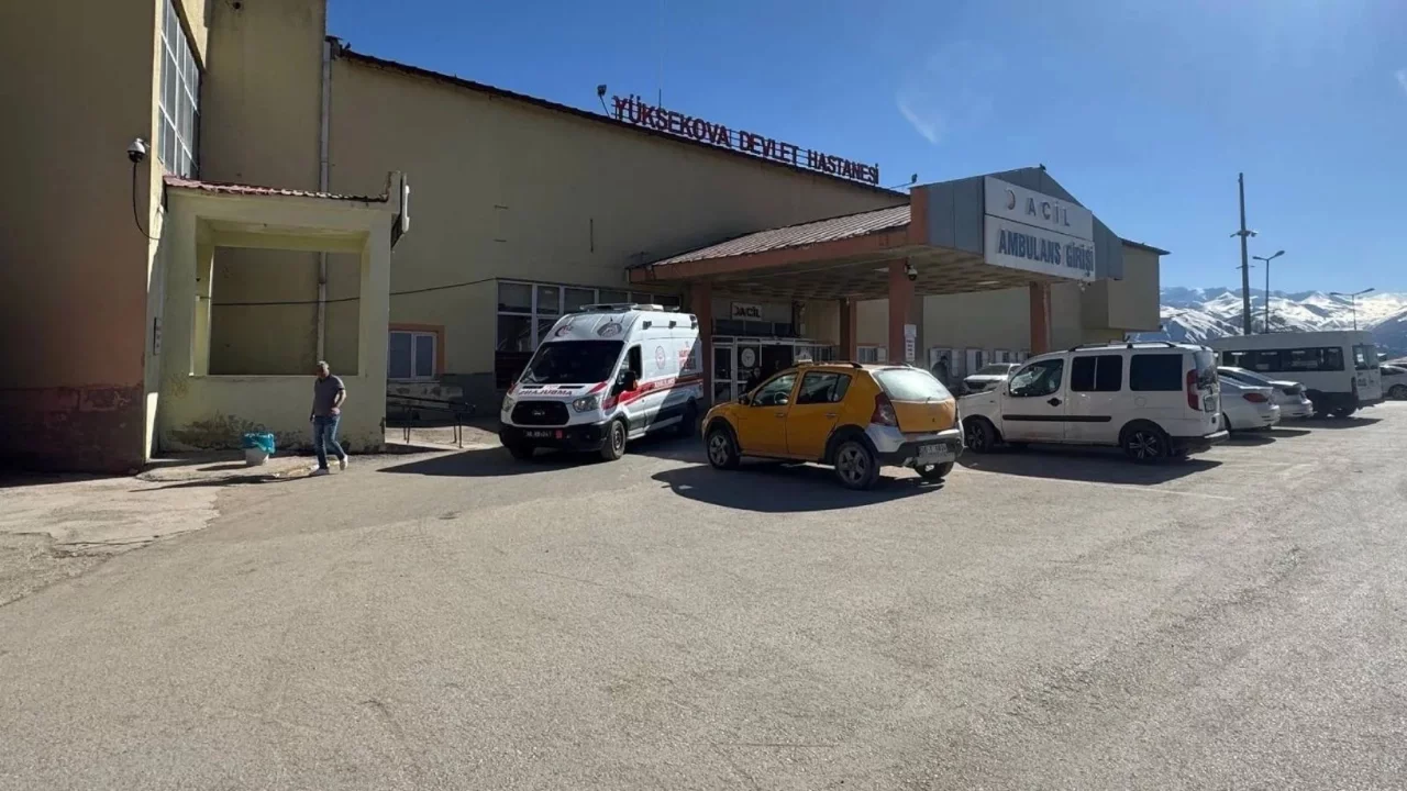 Hakkari'de meydana gelen patlamada çoban yaralandı, 3 koyun telef oldu