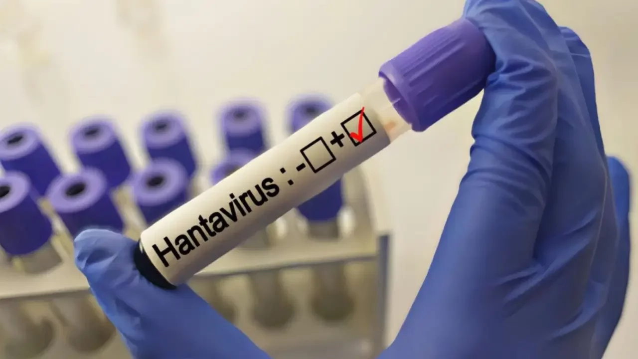 Uzmanlardan 'hantavirüs' açıklaması: Grip ile karıştırılıyor