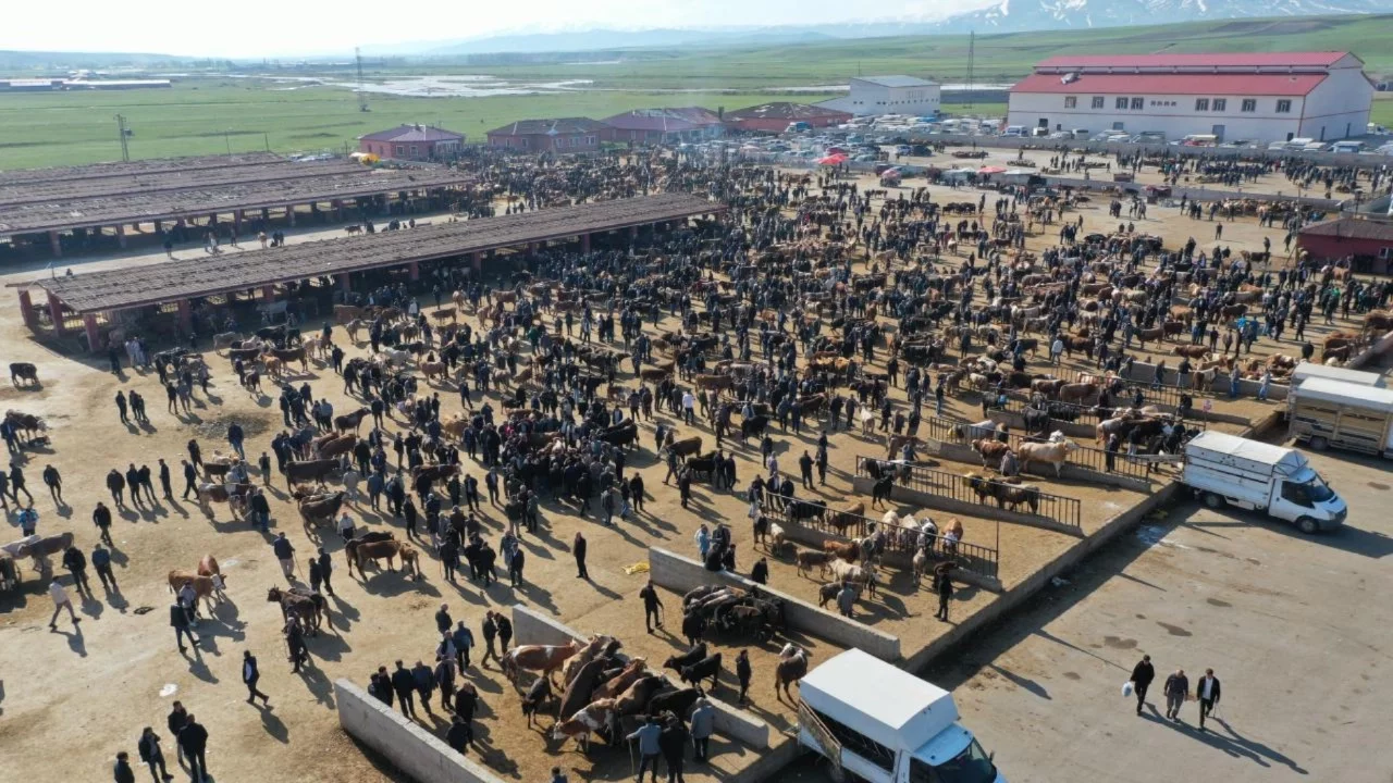Hayvancılık merkezlerinde bayram hareketliliği arttı
