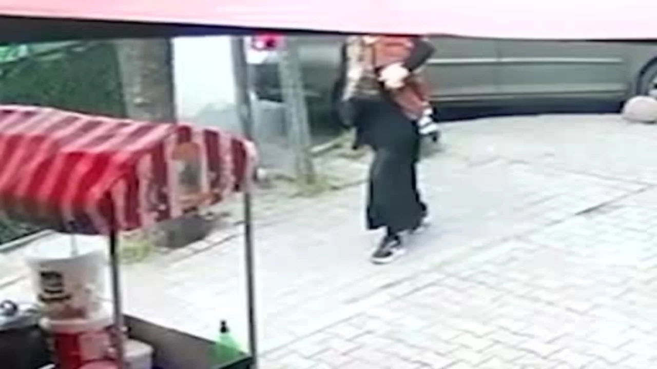 Kediye bıçakla zarar veren iki çocuk kendilerini uyaran kadının üzerine yürüdü