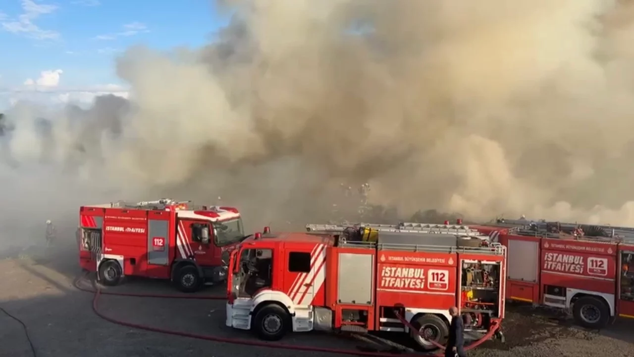 İstanbul'da hayvan barınağı yakınında korkutan yangın
