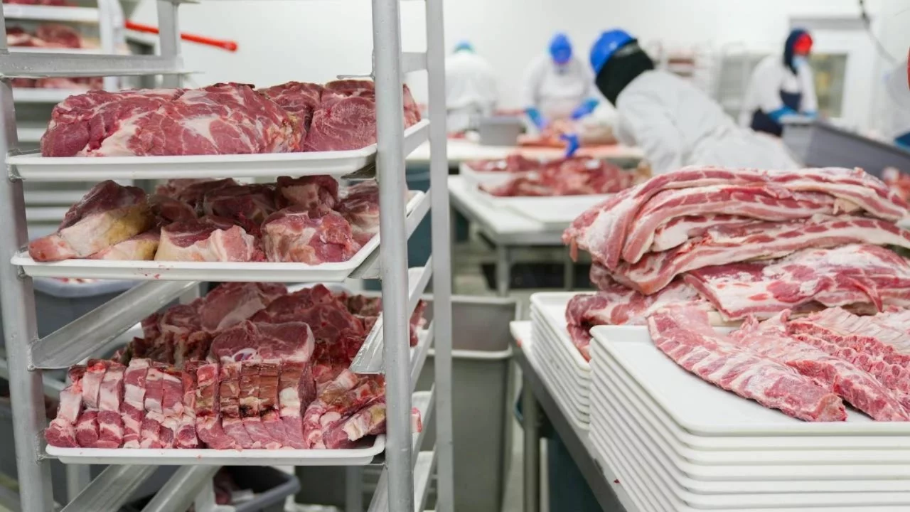 Ankara'da gıda baskını: Tonlarca et ve 1,5 ton kaçak zeytinyağı ele geçirildi