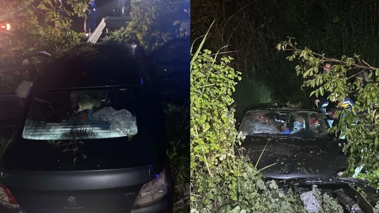 Bursa'da tarlaya uçan otomobildeki 4 kişi yaralandı