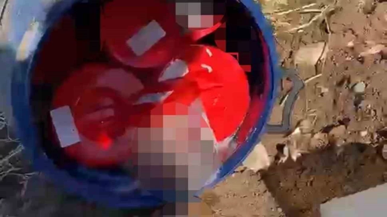 Mezarlıkta dehşet görüntüler: Plastik varilin içinde 21 cenin bulundu