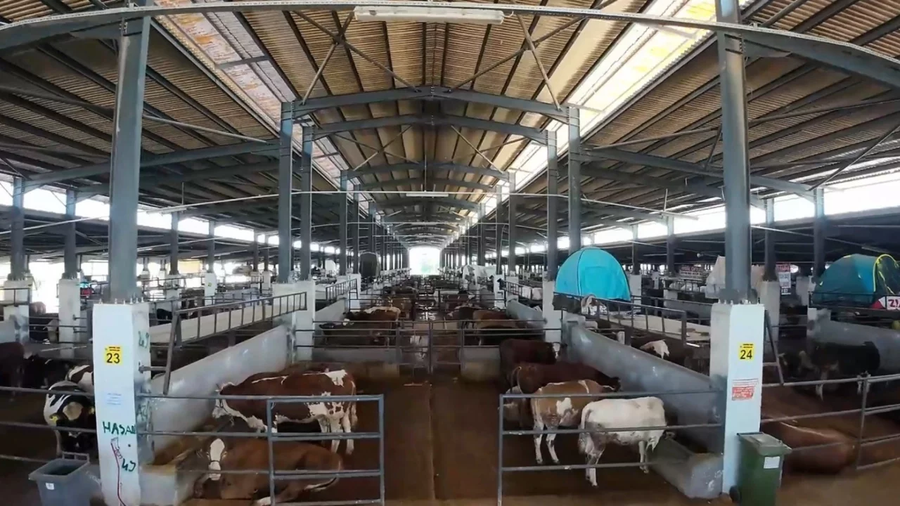 İnegöl Modern Hayvan Pazarı, yüzde 100'e ulaştı