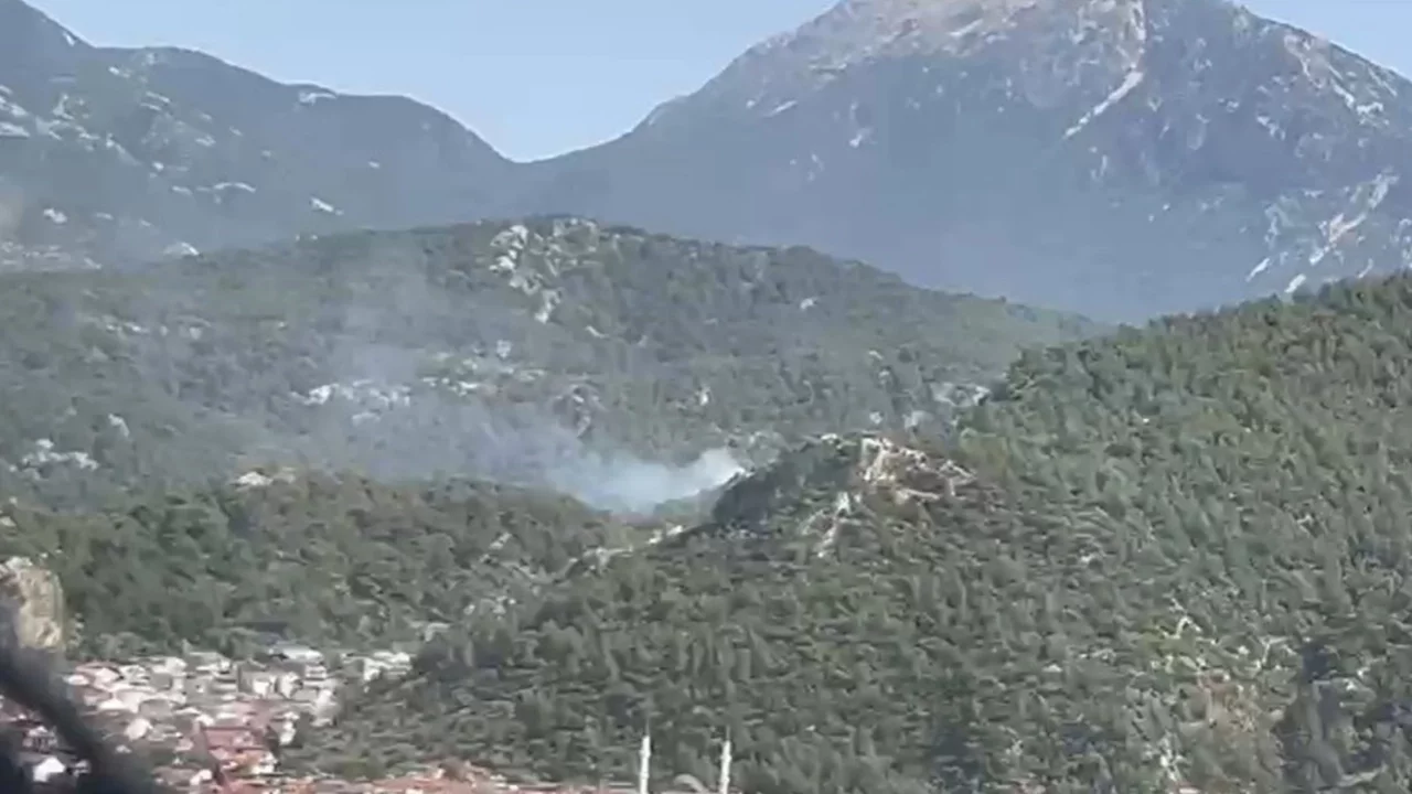 Fethiye'de orman yangını