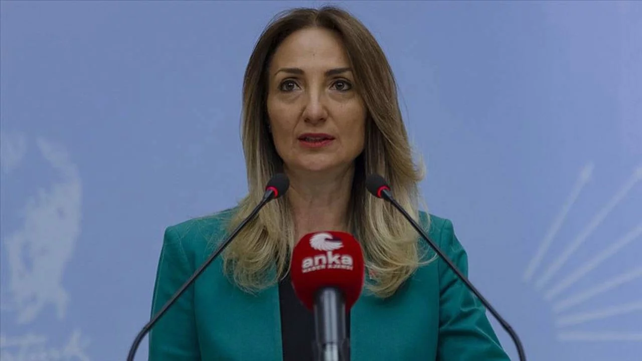 CHP'li Aylin Nazlıaka'dan 'mutlak butlan' kararına tepki: 'Görevi kabul etmeyeceğim'
