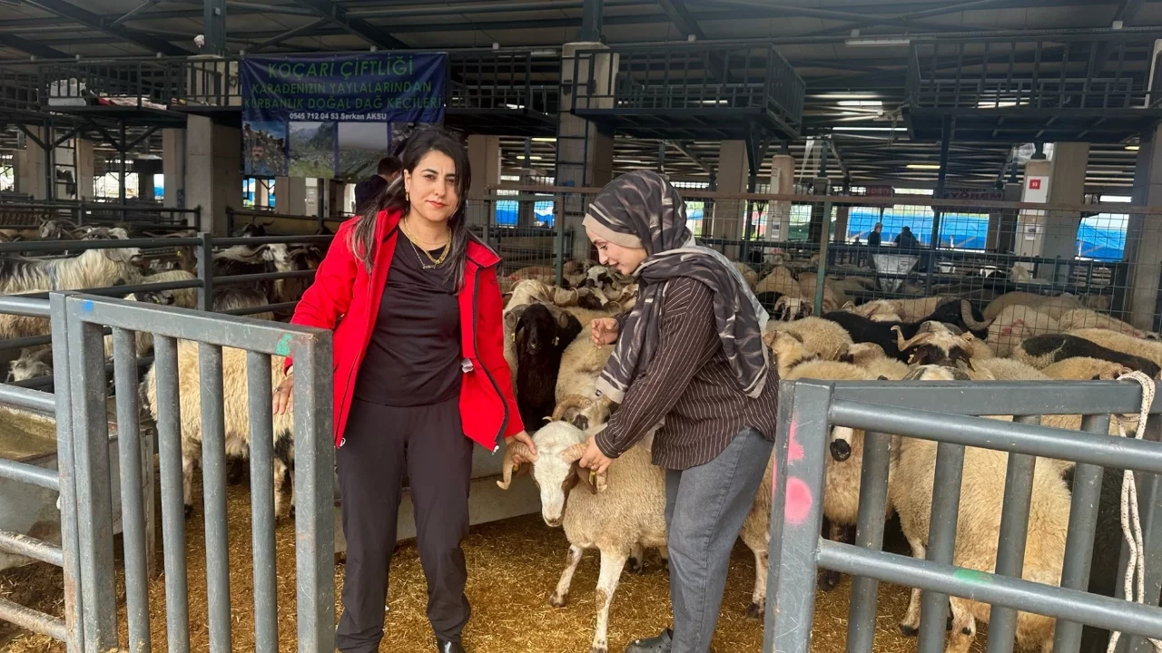 Bursa'da kurban pazarının kadın celepleri ilgi odağı oldu