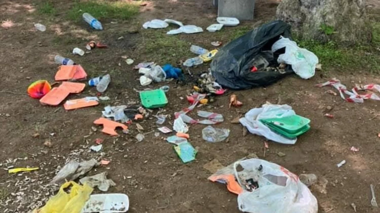 Bursa'da mesire alanı duyarsız piknikçilerin ardından çöplüğe döndü!