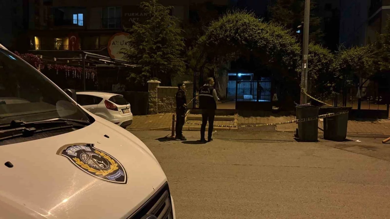 Darp edilen kadını kurtarmaya çalışan kardeşler bıçaklandı
