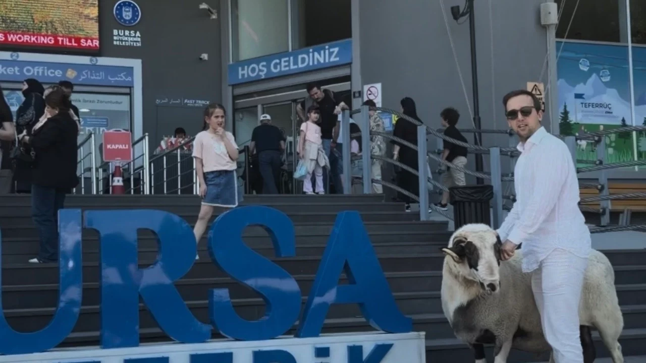 Bursa'da kurbanlık koçu teleferiğe bindirdi