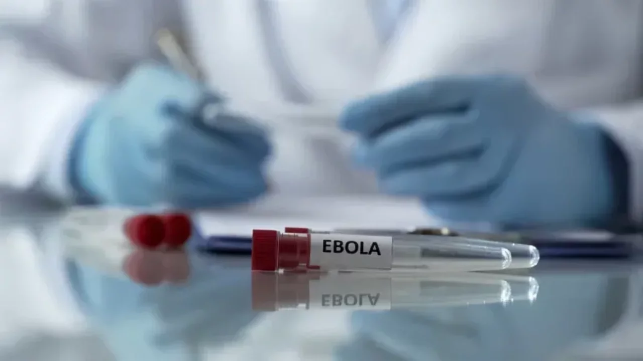 Bir Avrupa ülkesi daha Ebola'ya karşı önlemleri artırdı