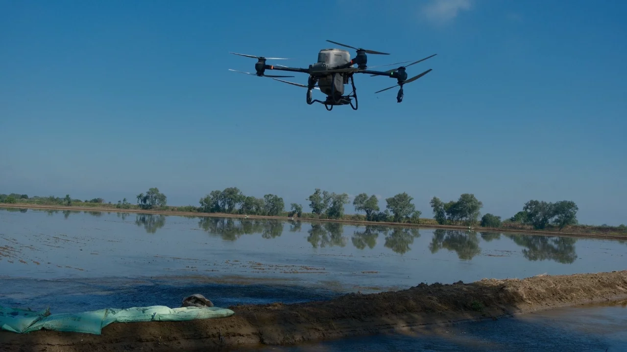 Karacabey Ovası'nda drone destekli çeltik mesaisi