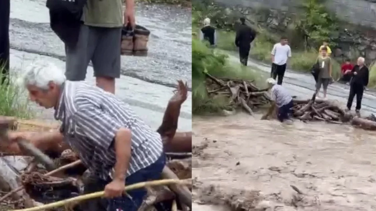 Odun uğruna canını hiçe sayarak şiddetli akan dereye girdi