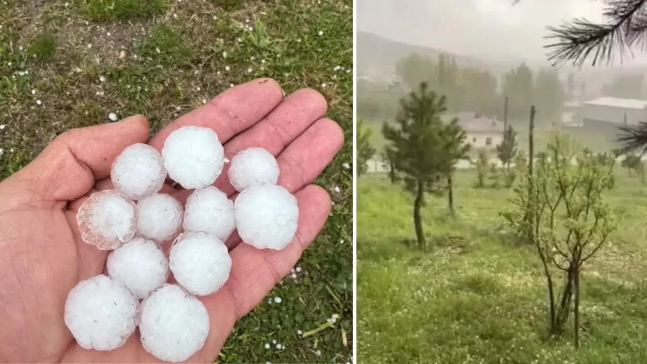 Sivas'ta dolu yağdı, ağaçlar çiçek döktü