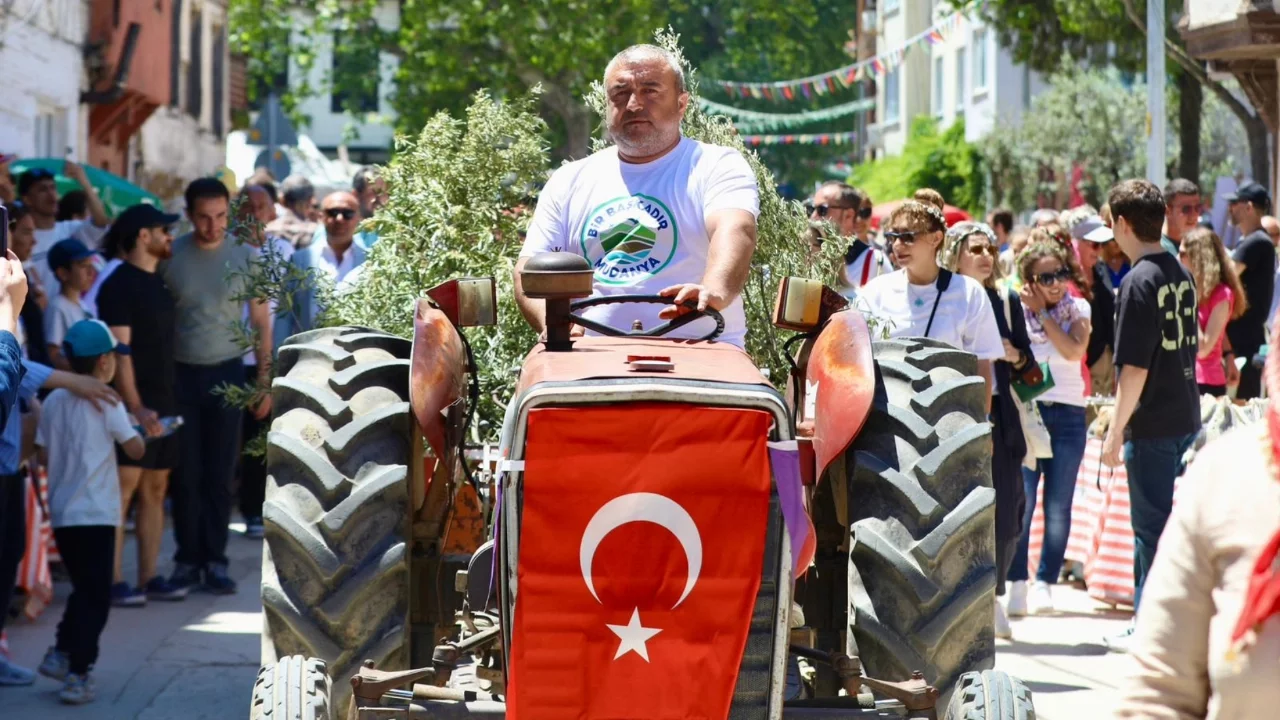 Bursa Tirilye'de 2. Zeytin Çiçeği Festivali başladı