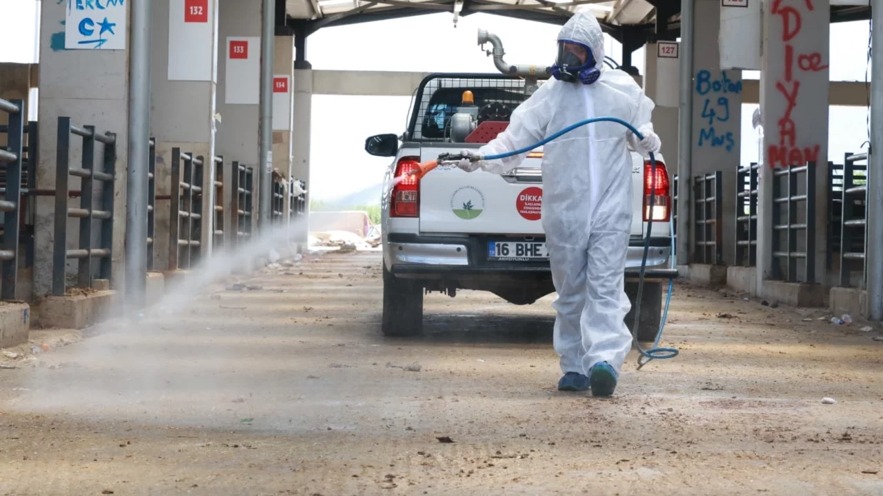 Osmangazi'de kurban pazarlarında kapsamlı temizlik çalışması
