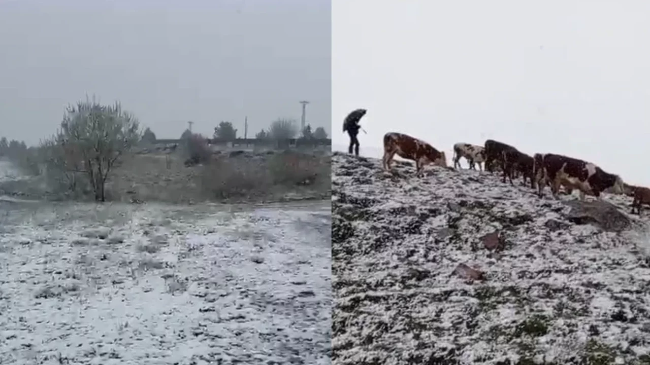 Ardahan'da Haziran ayında kar sürprizi: Beyaza büründü